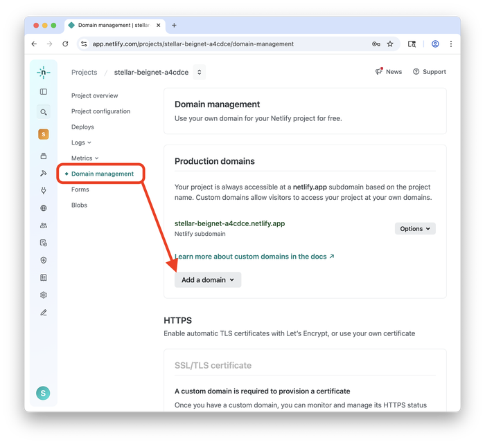 Accessing the domain settings in Netlify