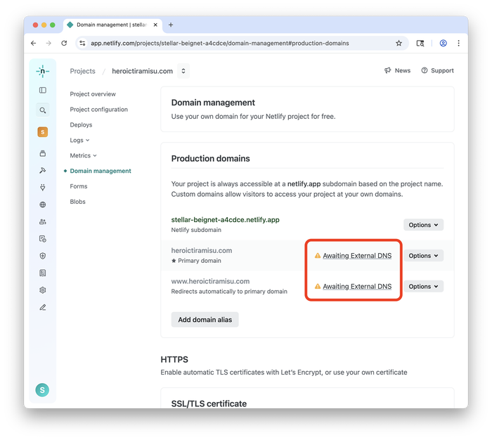 Finding the DNS target information in Netlify