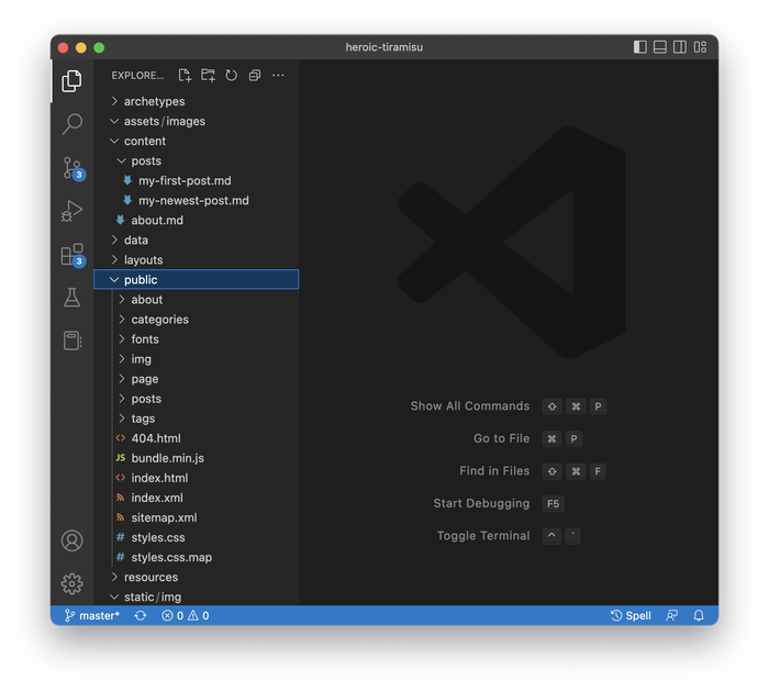 The built website in the public directory in VS Code