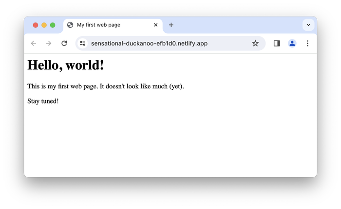 Our example website, hosted by Netlify